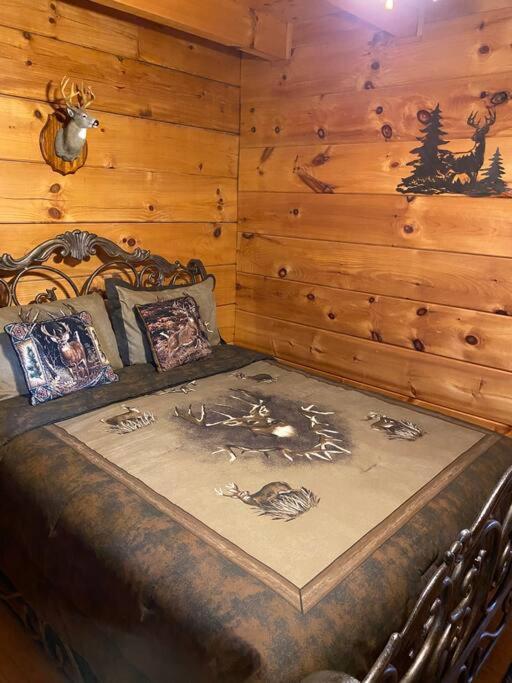 Bear Country Cabin Sevierville Exteriör bild